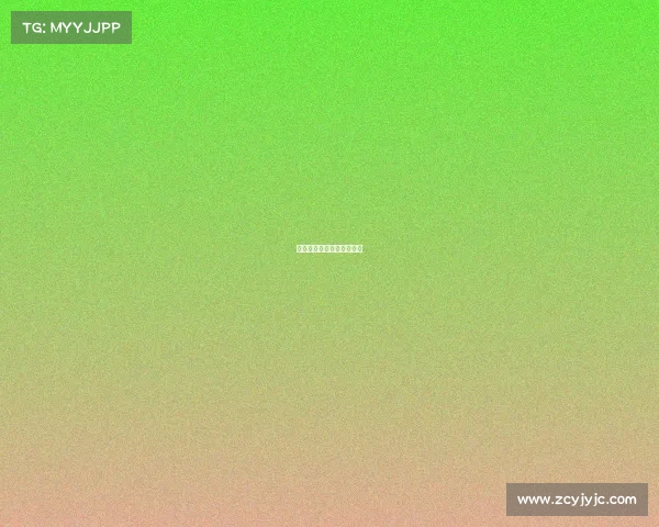 举重项目的比赛术语有哪些